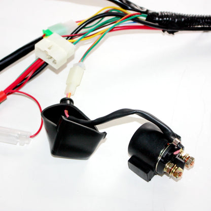 Wiring Harness Loom for 150cc 250cc Engine PIT Quad Dirt Bike ATV Buggy