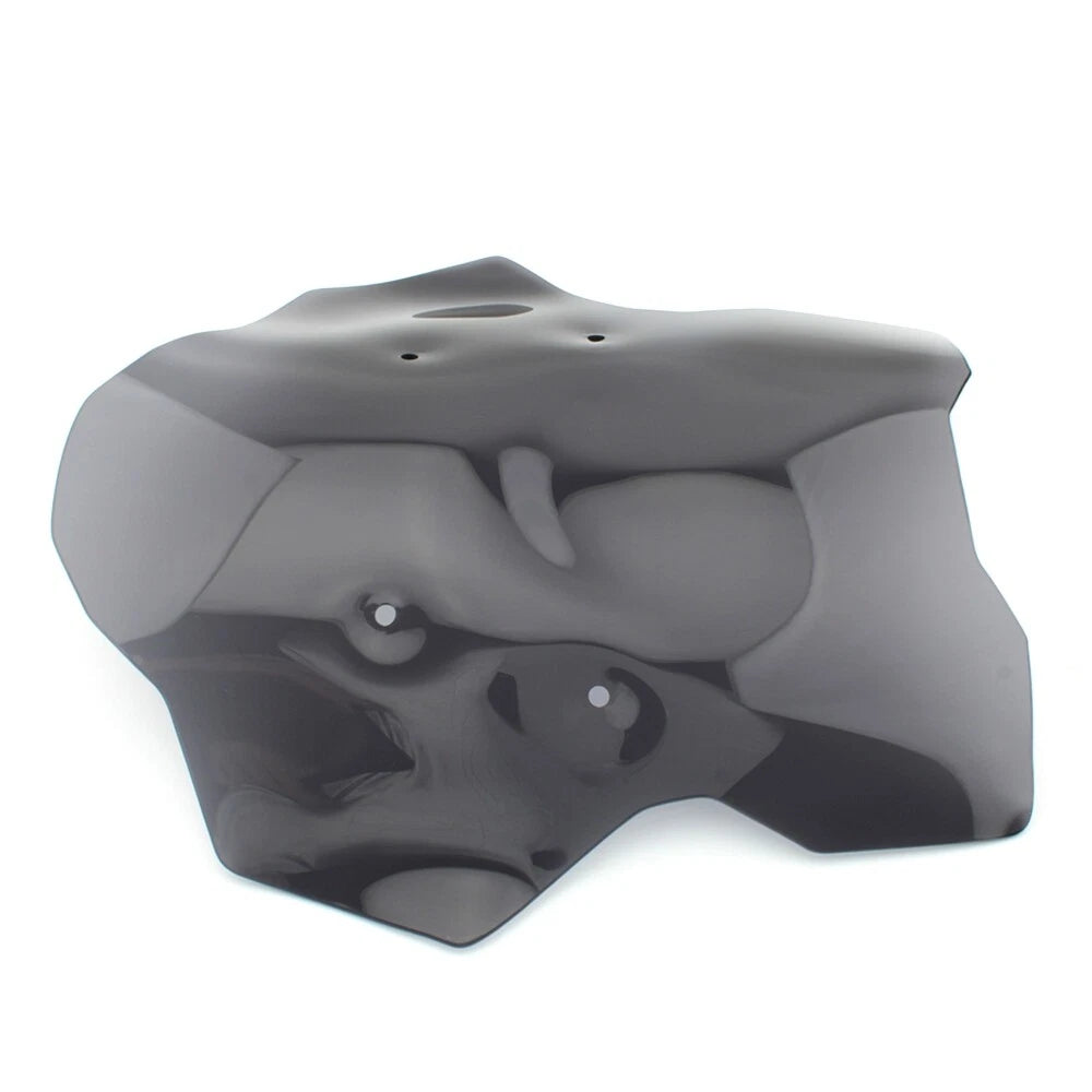 Front Windshield for BMW R1300GS (2023)