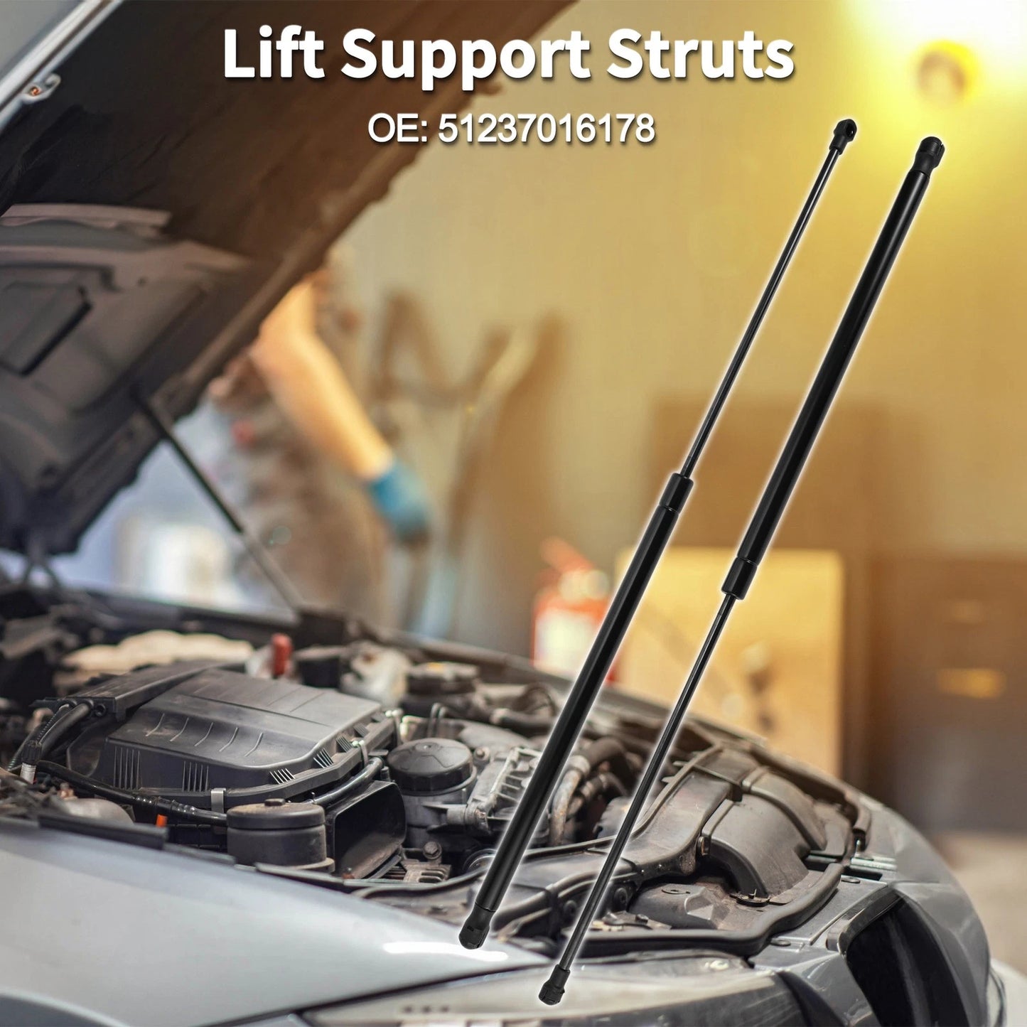 Hood Lift Supports Struts for BMW Z4 Convertible/Coupe (2003-2008)