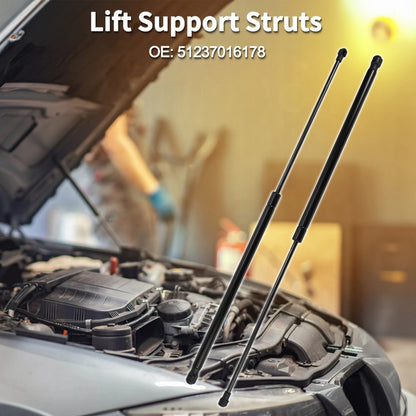 Hood Lift Supports Struts for BMW Z4 Convertible/Coupe (2003-2008)