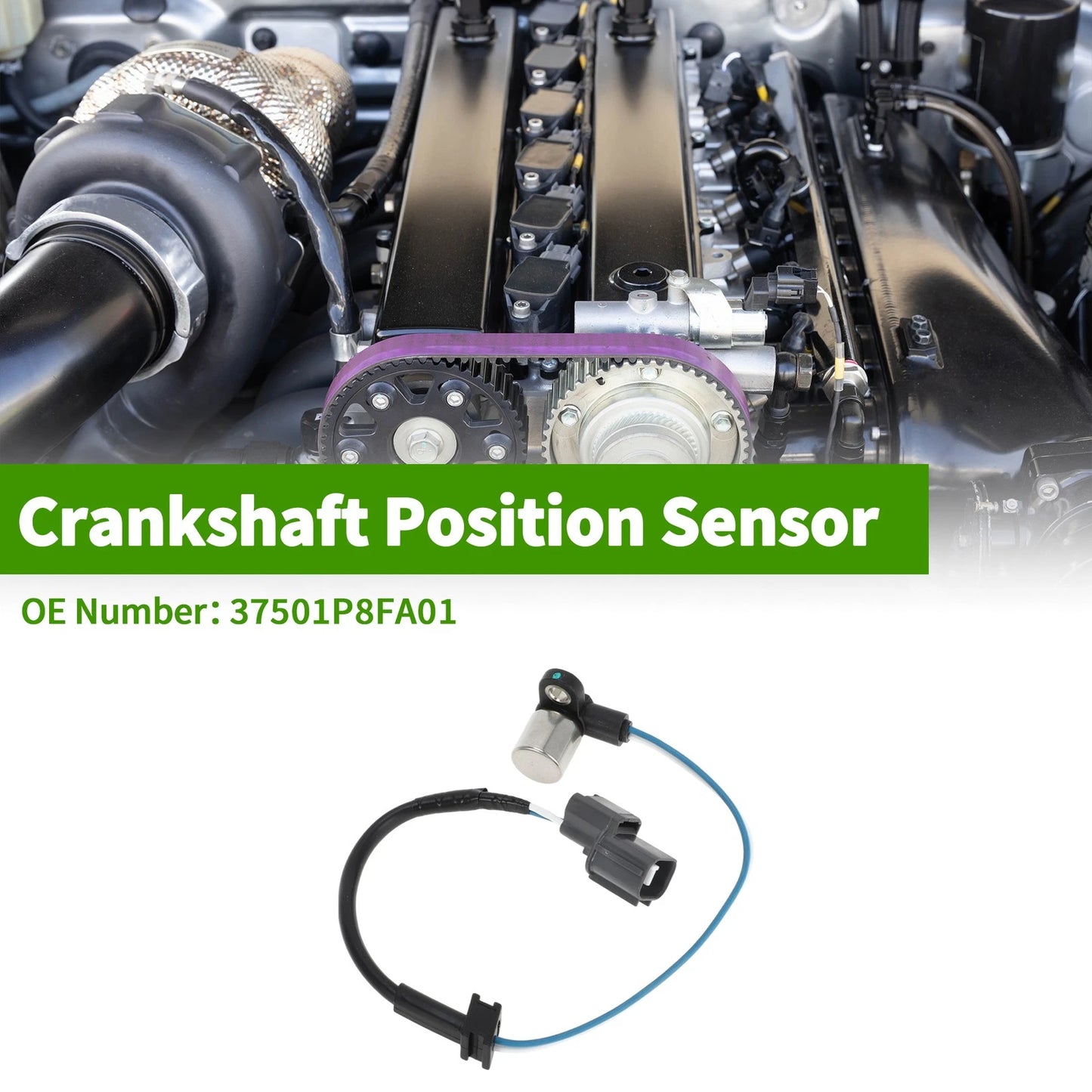 Crankshaft Position Sensor for Honda Odyssey 3.5 (1999-2004) 1 Pc