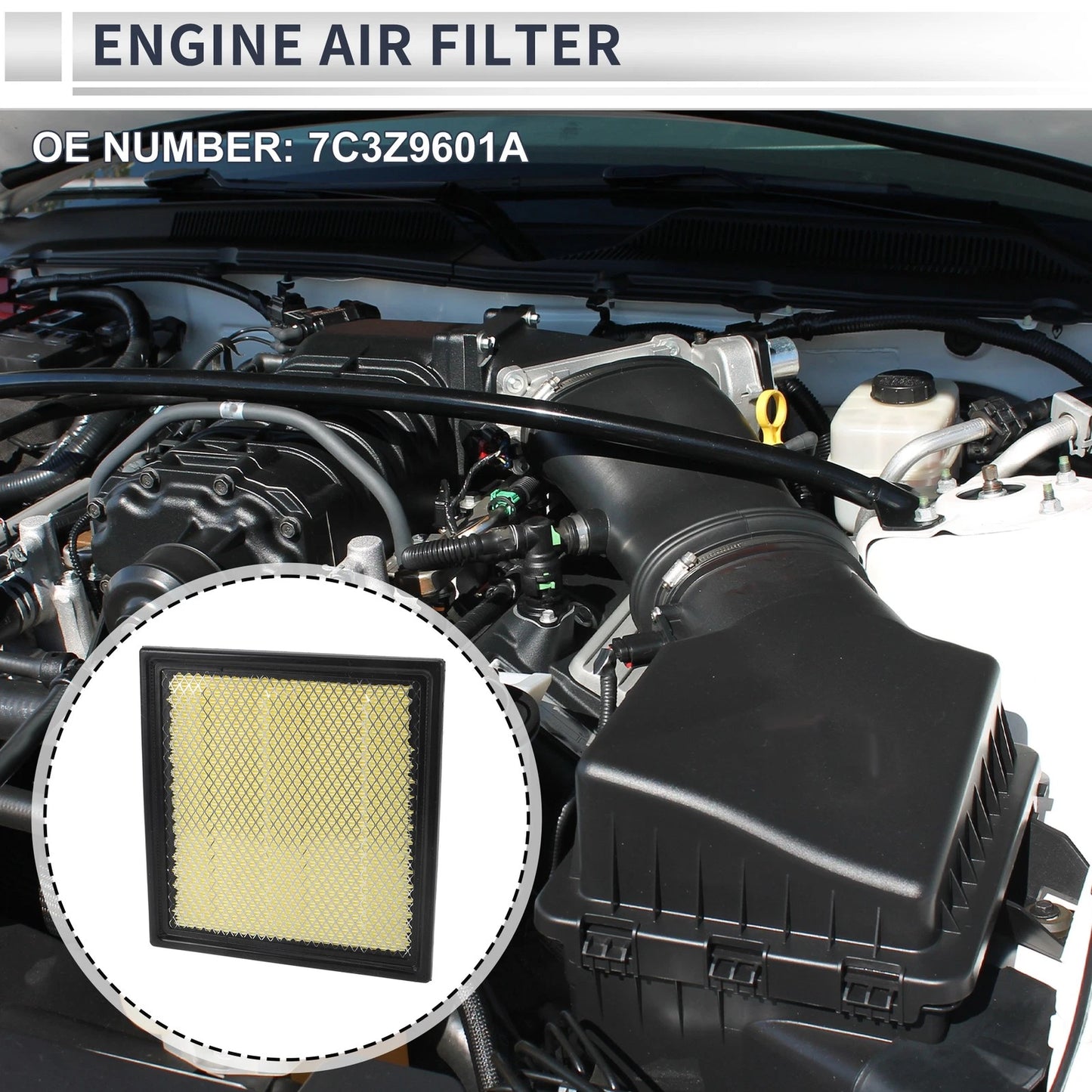 Engine Air Filter for Ford F-150 (2009-2024) 1 Pc