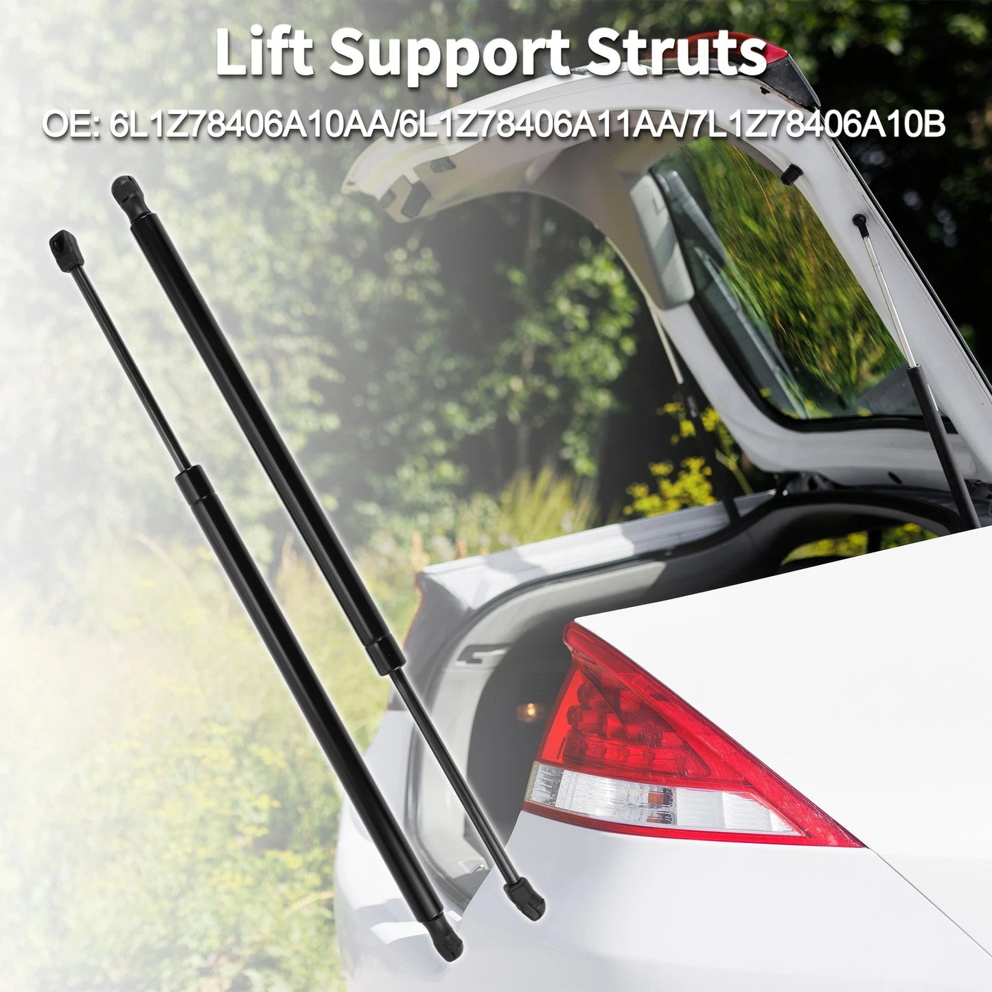 Rear Hatch Lift Supports for Ford Expedition (2003-2023)