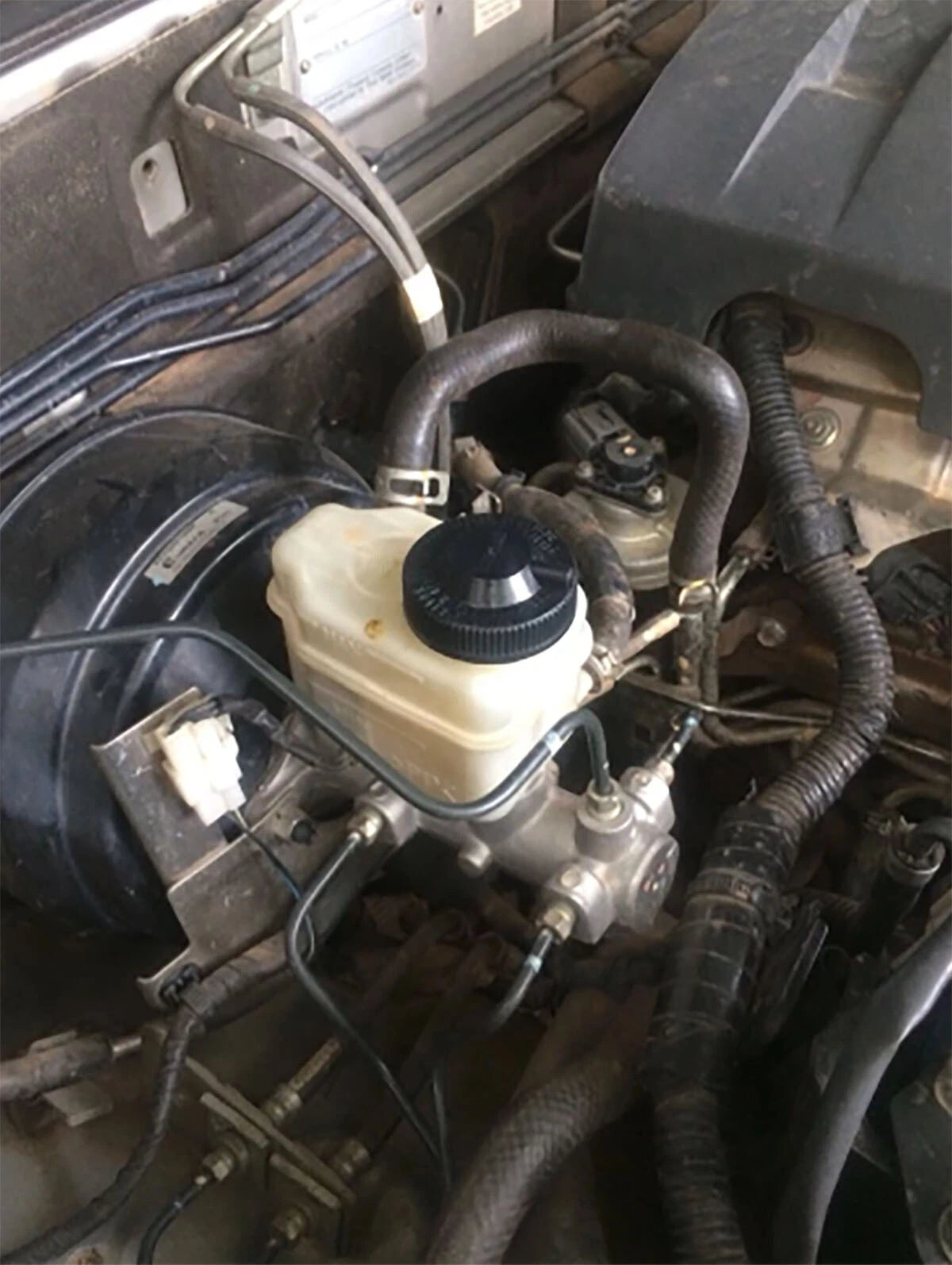 Brake Master Cylinder Cap for Ford Ranger (1998-2002)