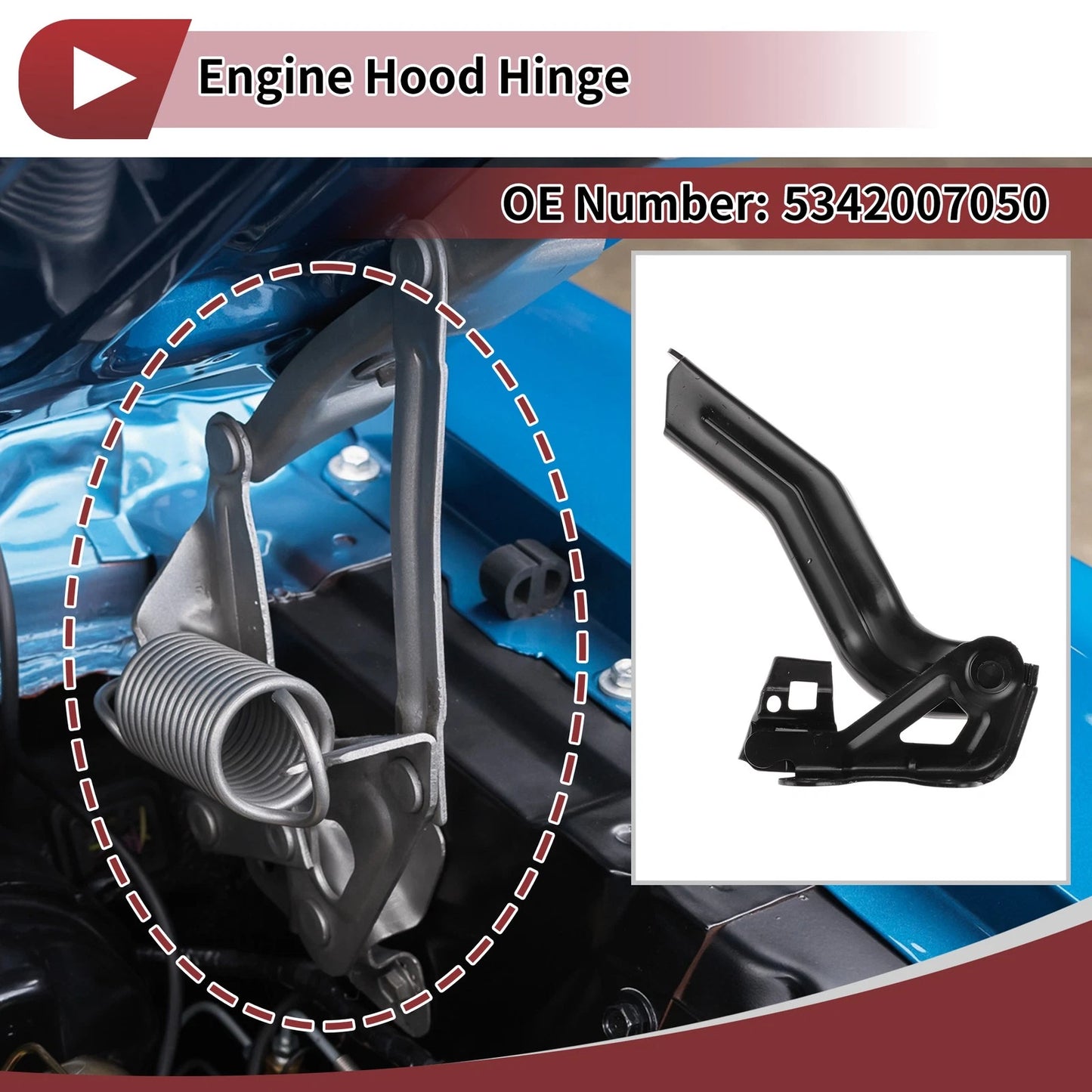 Hood Hinge / Left / Hood Hinge for Toyota Avalon (2018–2024)