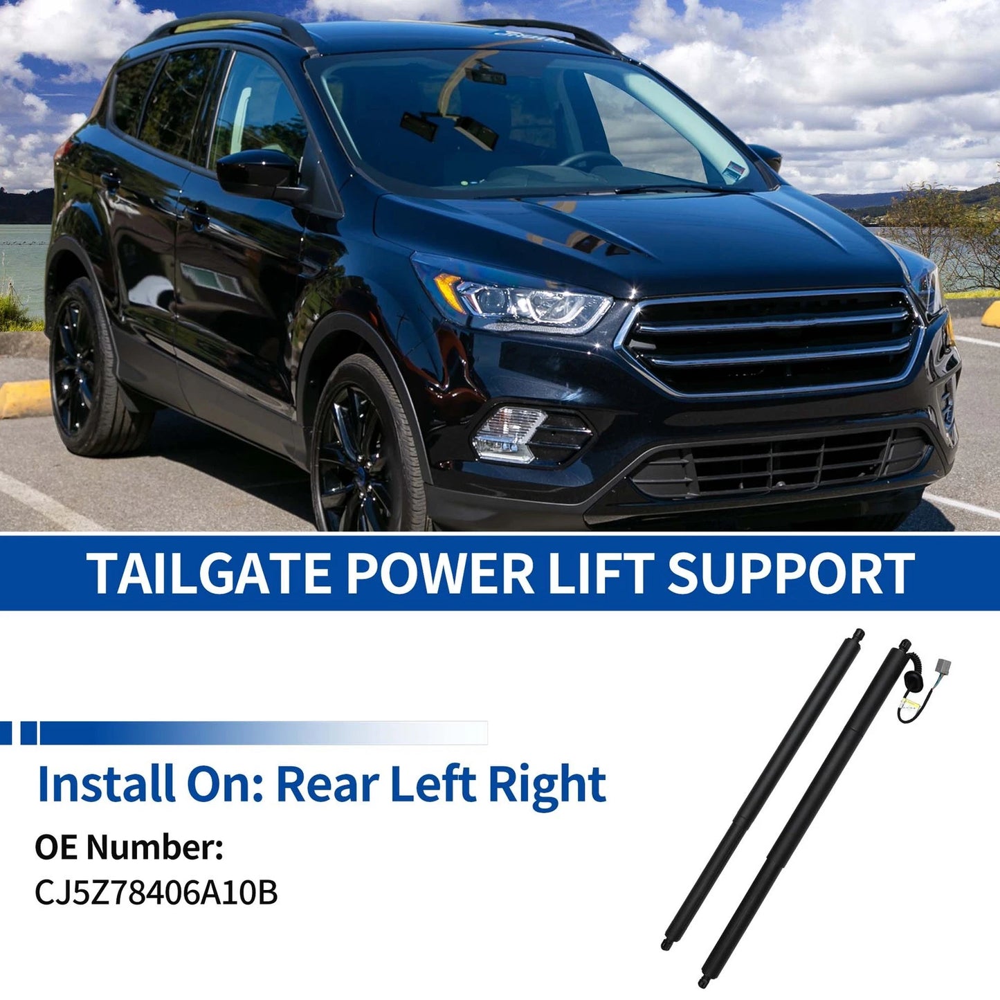 Rear Tailgate Lift Support for Ford Escape (2013-2019)