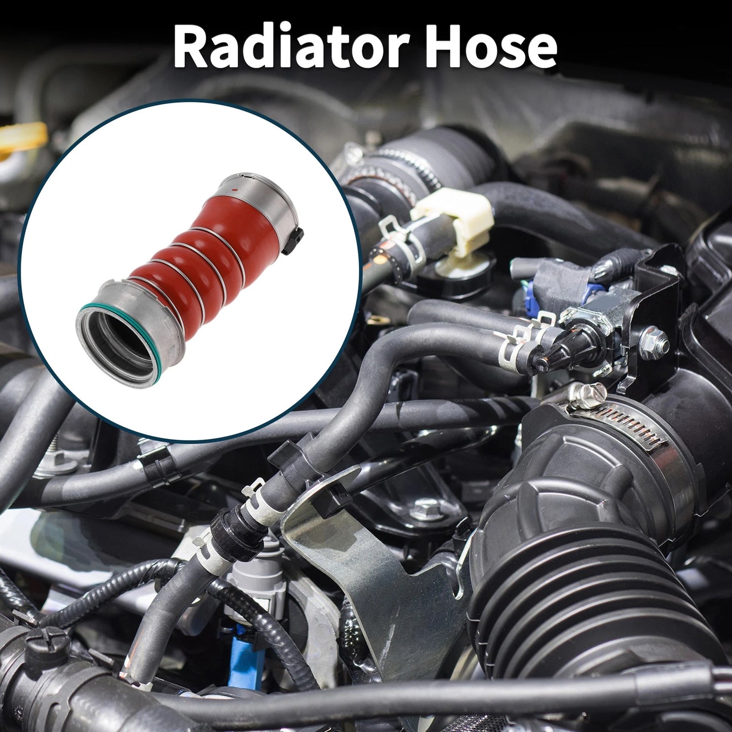 Radiator Hose for BMW X5 (2010-2013)