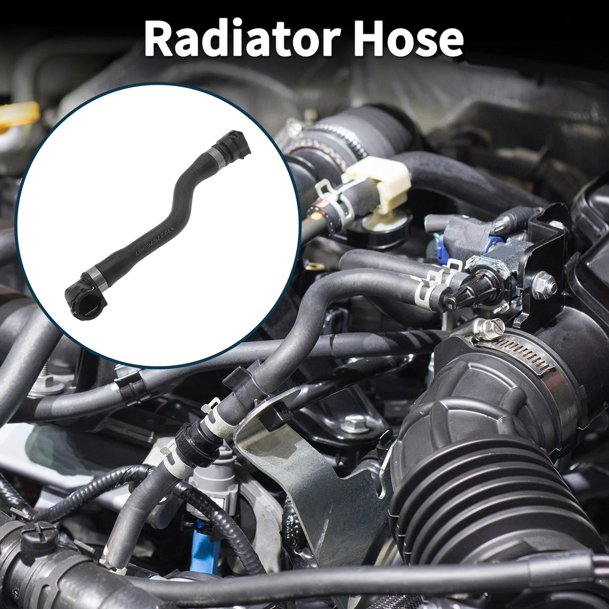 Radiator Hose for BMW 750i 2009-2015 V8 4.4L (2009-2015)