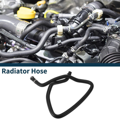 Radiator Hose for Ford Focus (2012)