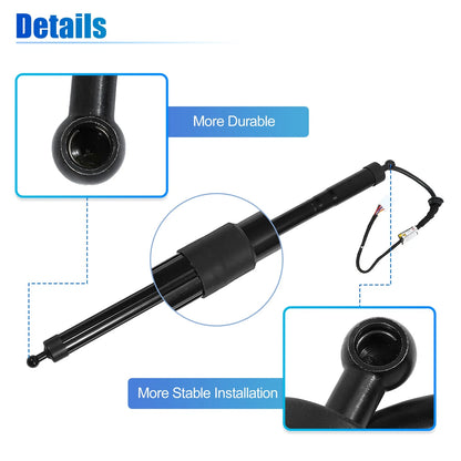 Tailgate Lift Supports  for Toyota Highlander (2001-2023)