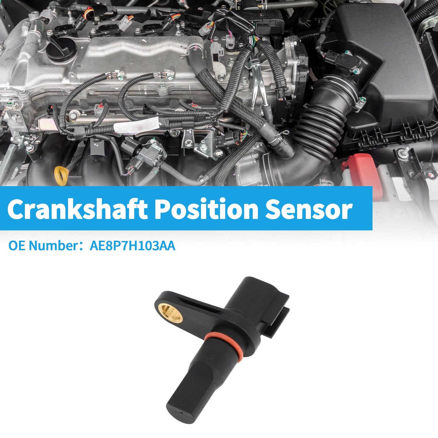 Crankshaft Position Sensor for Ford C-MAX 2014-2016 (1 x Black)