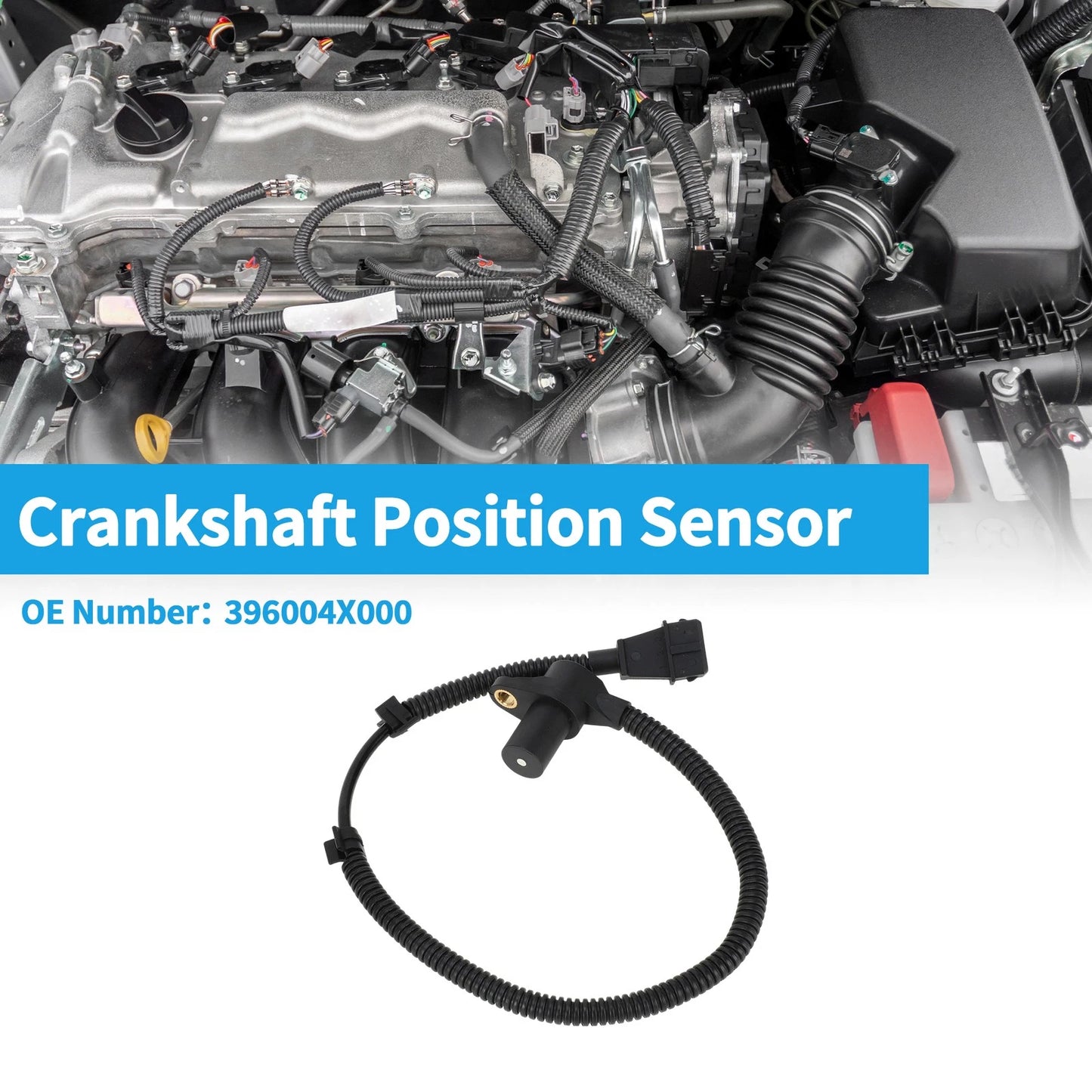 Crankshaft Position Sensor for Hyundai Terracan 2.9L (2003-2006)