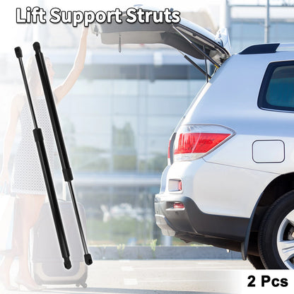 Rear Hatch Lift Supports for Isuzu Ascender 2003-2006 Sport Utility (2 x)