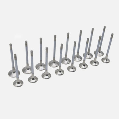 Engine Piston Rebuild Kit for Audi Volkswagen 2.0 TFSI TSI EA888 (08-13)