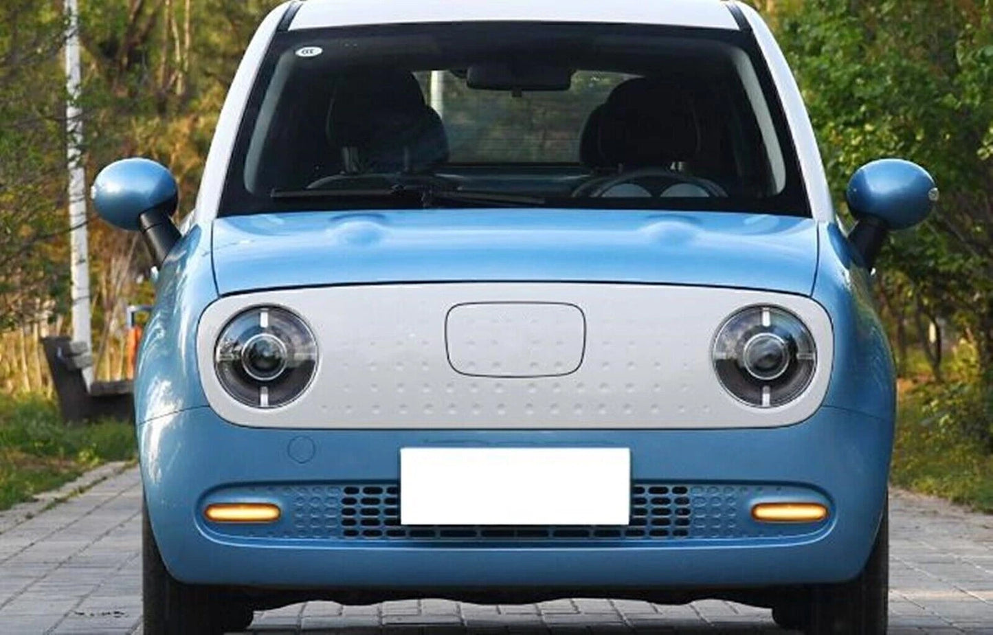 LED Daytime Running Lights for ORA R1 (2018-2022)