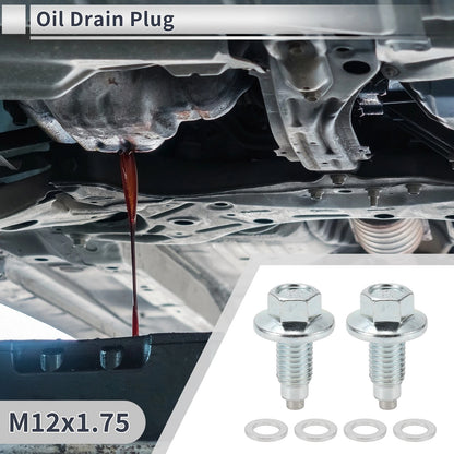 Set M12x1.75 1.59" Height Engine Oil Drain Plug with Gasket for Car/Motorcycle