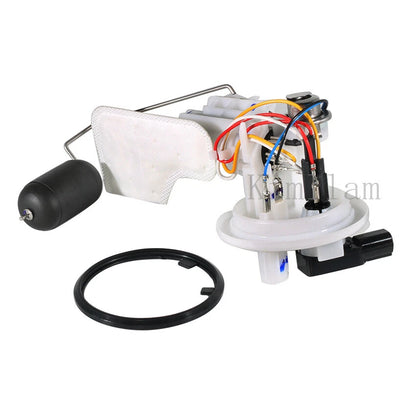 Fuel Pump Assembly for Yamaha Xeon RC 125, GT 125 (2013-2014)