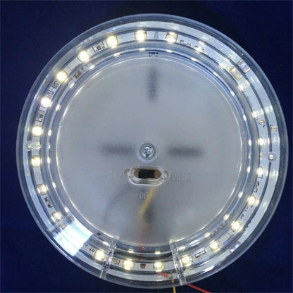 Natural White LED Lamp for Interior Lighting for Transport Vehicles