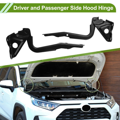 Hood Hinges 1 Pair for Toyota RAV4 (2006-2014)