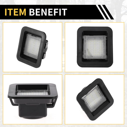 License Plate Light Tag Lamp for Ford F-150 (2015-2023)