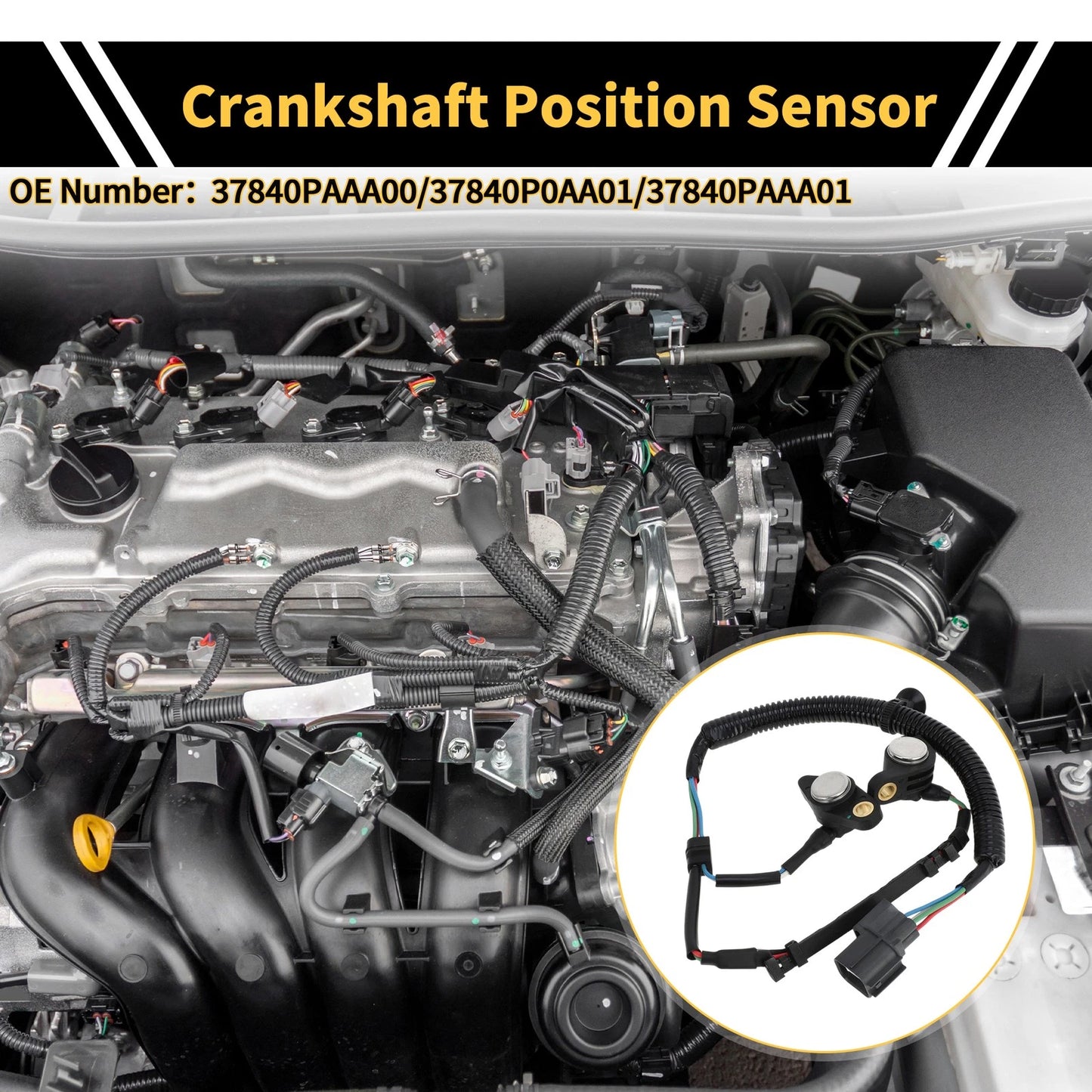 Crankshaft Position Sensor for Honda Accord 2.3 (1996-2002) 1 x Sensor