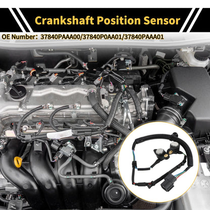 Crankshaft Position Sensor for Honda Accord 2.3 (1996-2002) 1 x Sensor