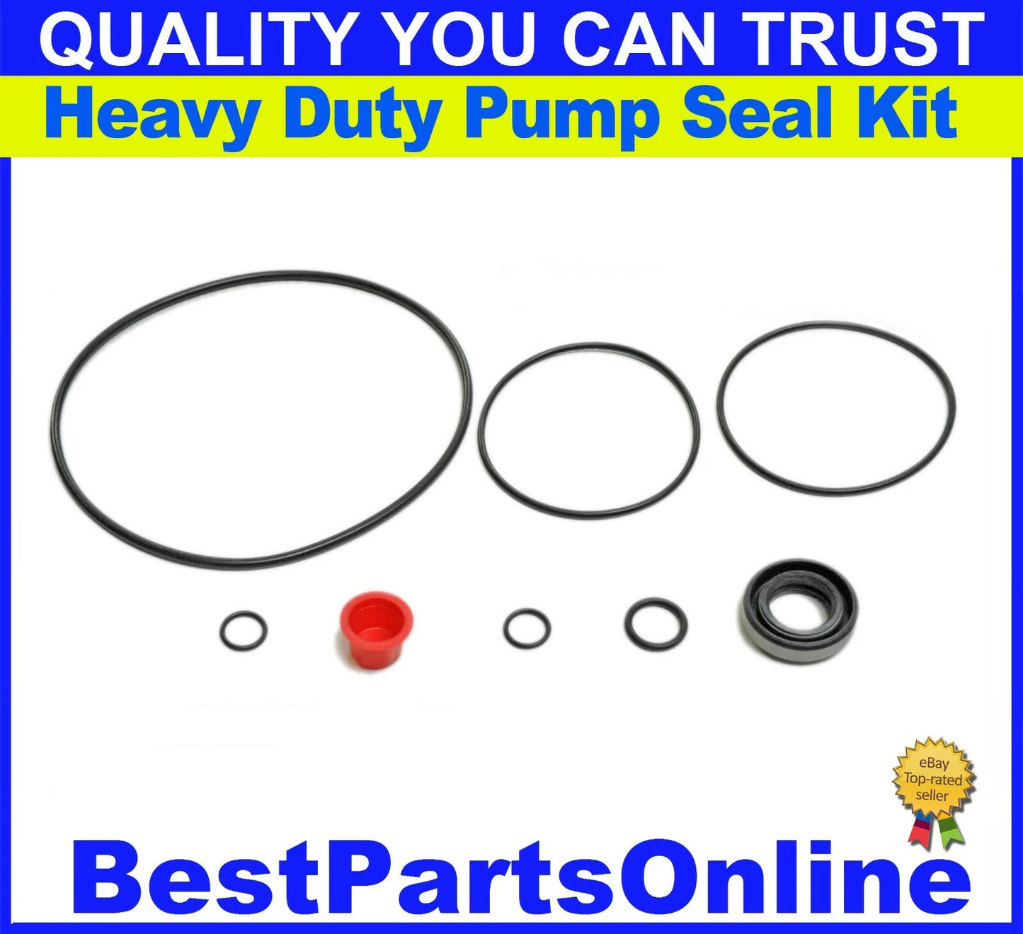 Seal Kit Heavy Duty Steering Pump With Standard Shaft Seal for SAGINAW