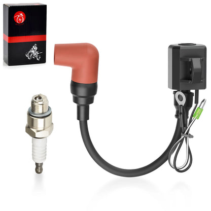 Ignition Coil with Spark Plug for Yamaha 2 Stroke HP