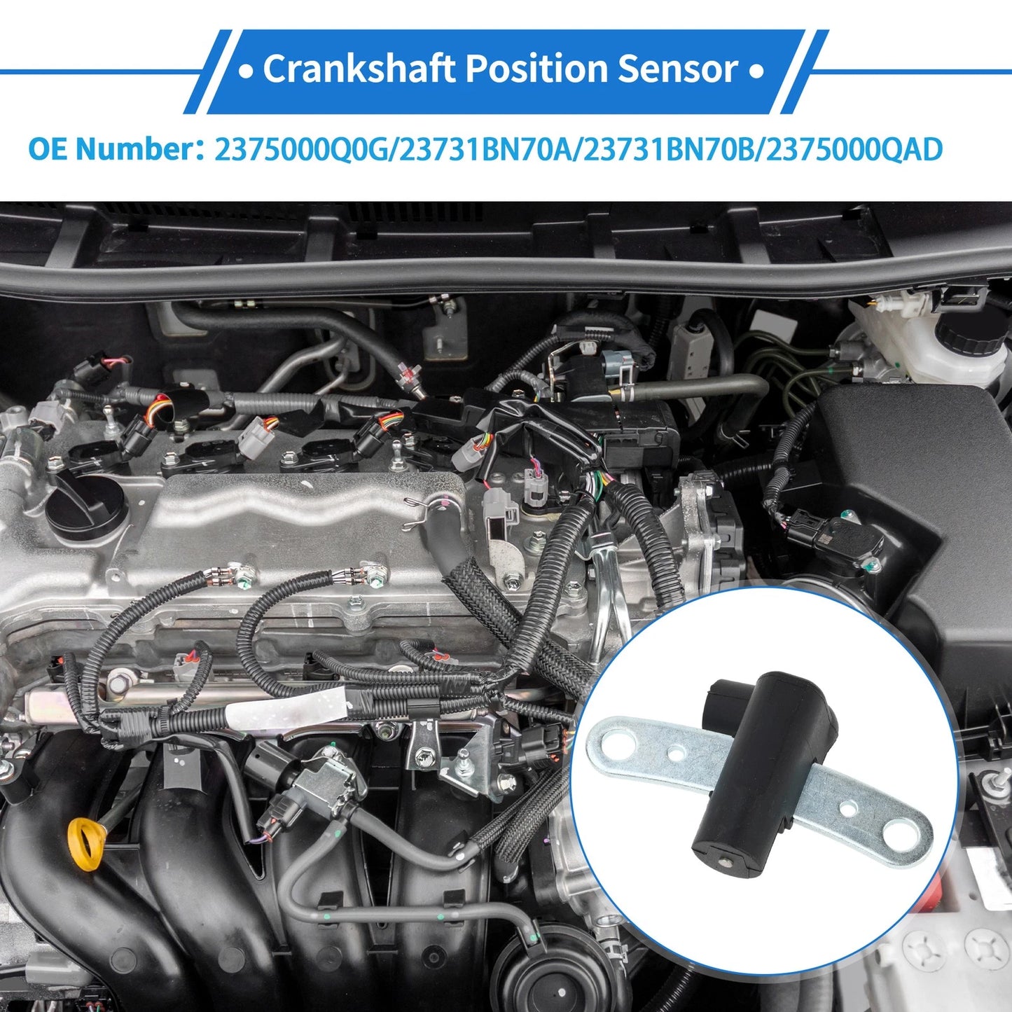 Crankshaft Position Sensor for NISSAN Almera Hatchback (2003-2006)