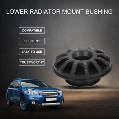 Lower Radiator Mount Bushing for Chevrolet Cruze (2011 - 2016)