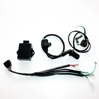 Complete Wire Harness for YX 160CC 4 Valve Engine PITPRO Dirt Bike