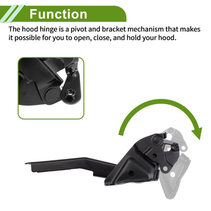 Hood Hinges 1 Pair for Toyota Highlander (2008-2013)
