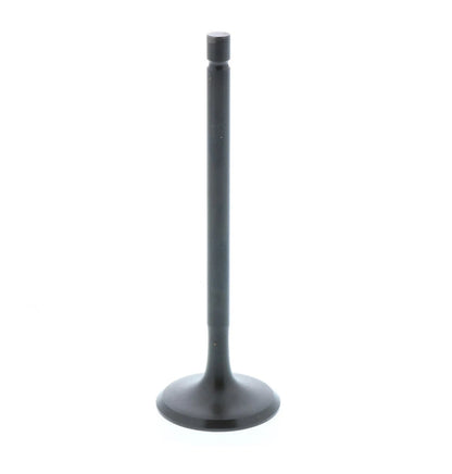 Intake Valve for Honda ATC 185 200