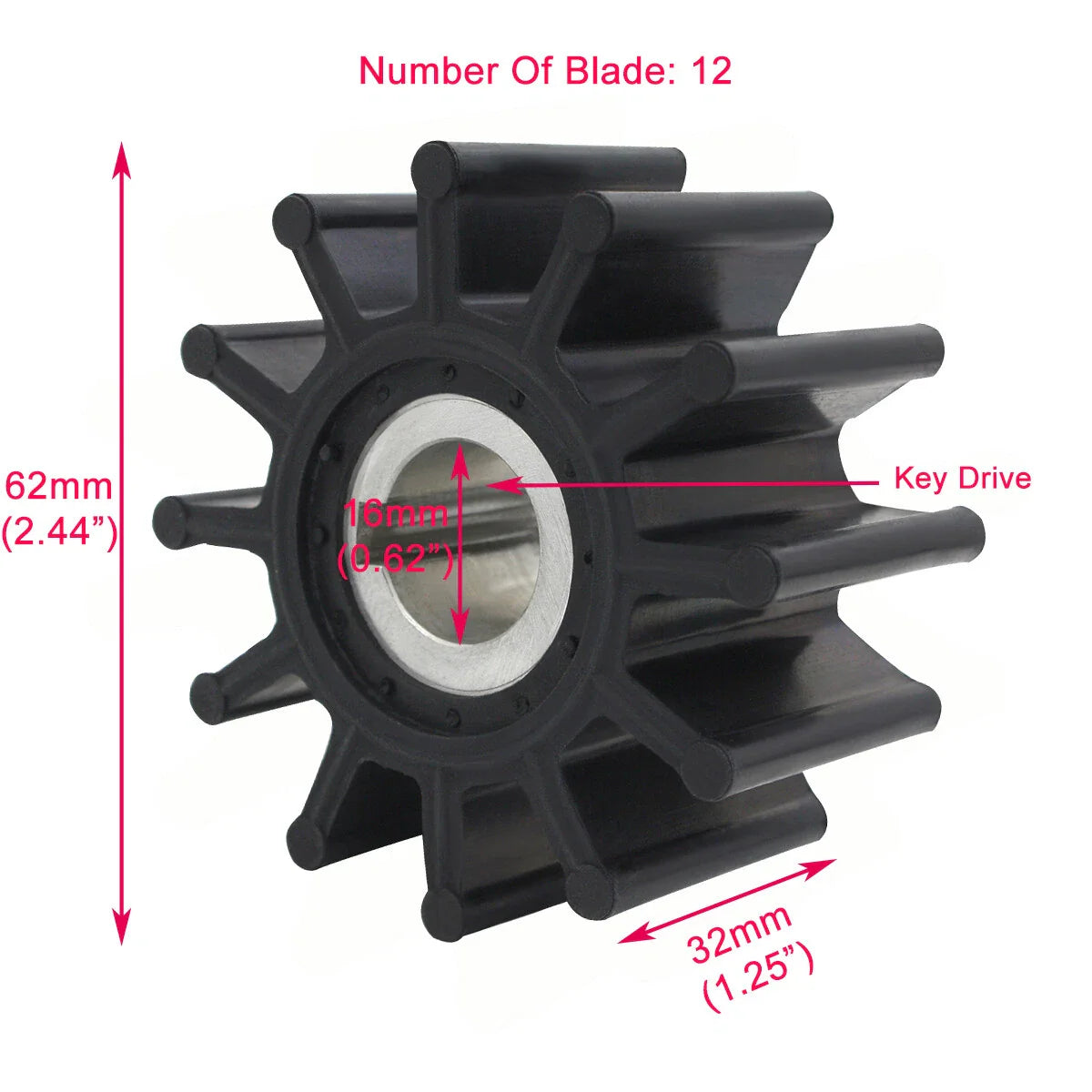 Raw Sea Water Pump Impeller Kit for Sierra/Sherwood/Crusader