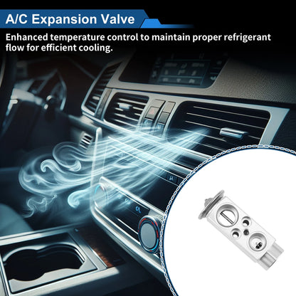 A/C Expansion Valve  for BMW 525i (2004-2007)