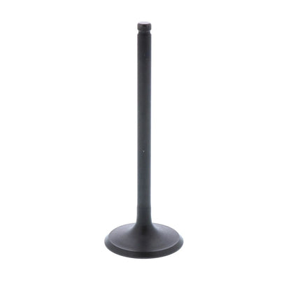Bronco Engine Intake Valve for Honda Recon (2002–2018)