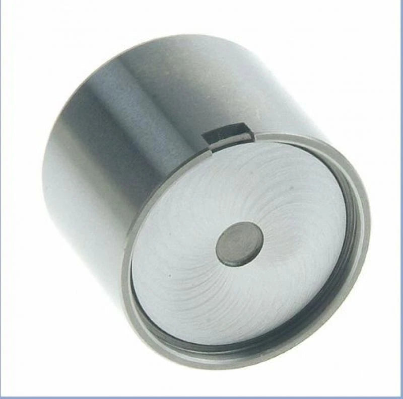 24 x Lifter/Lash Adjuster for Toyota Supra JZA80 (1993–2002)