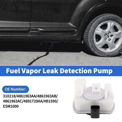 Leak Detection Pump for Chrysler 200 (2011-2014)
