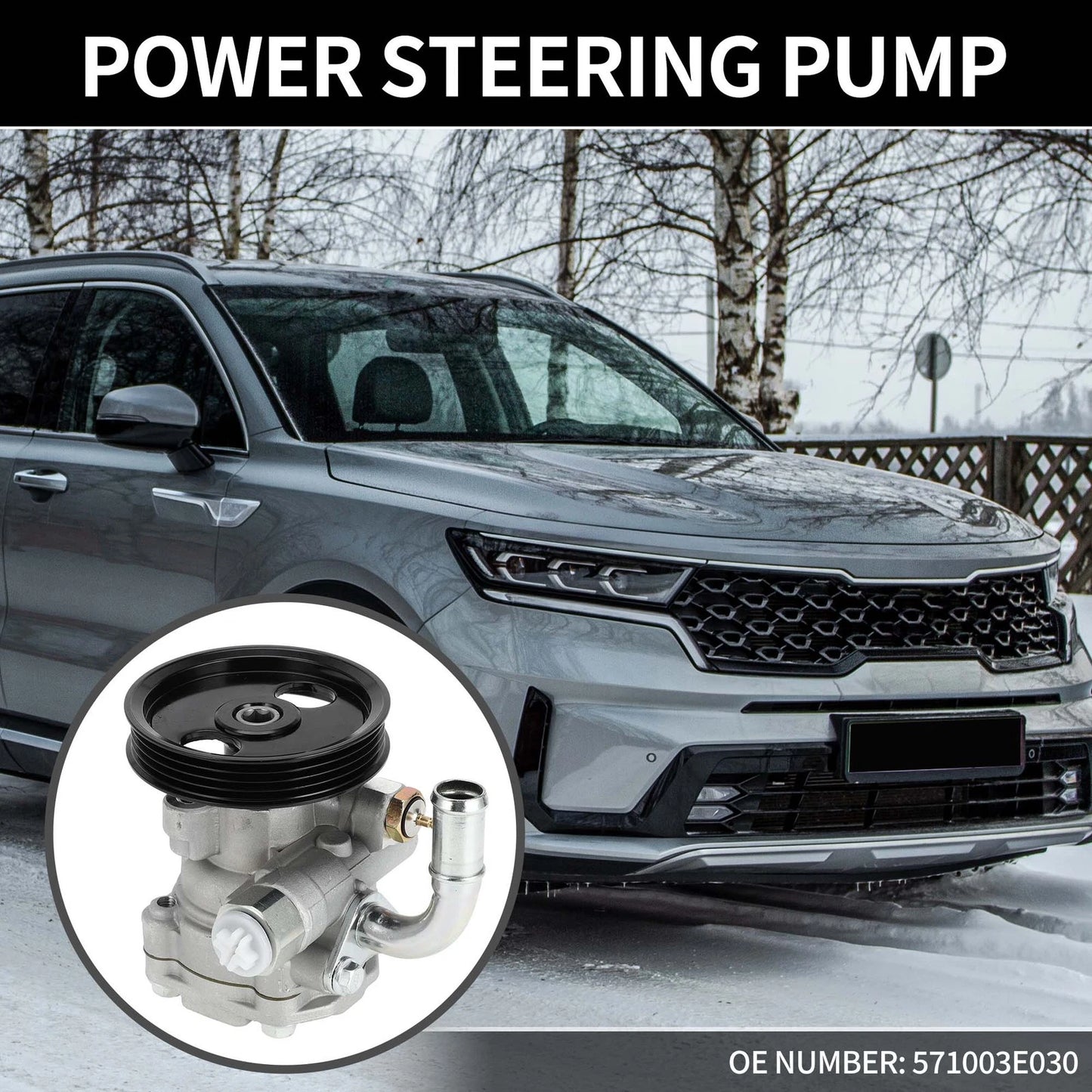 Power Steering Pump w/ Pulley for Kia Sorento (2003-2006)