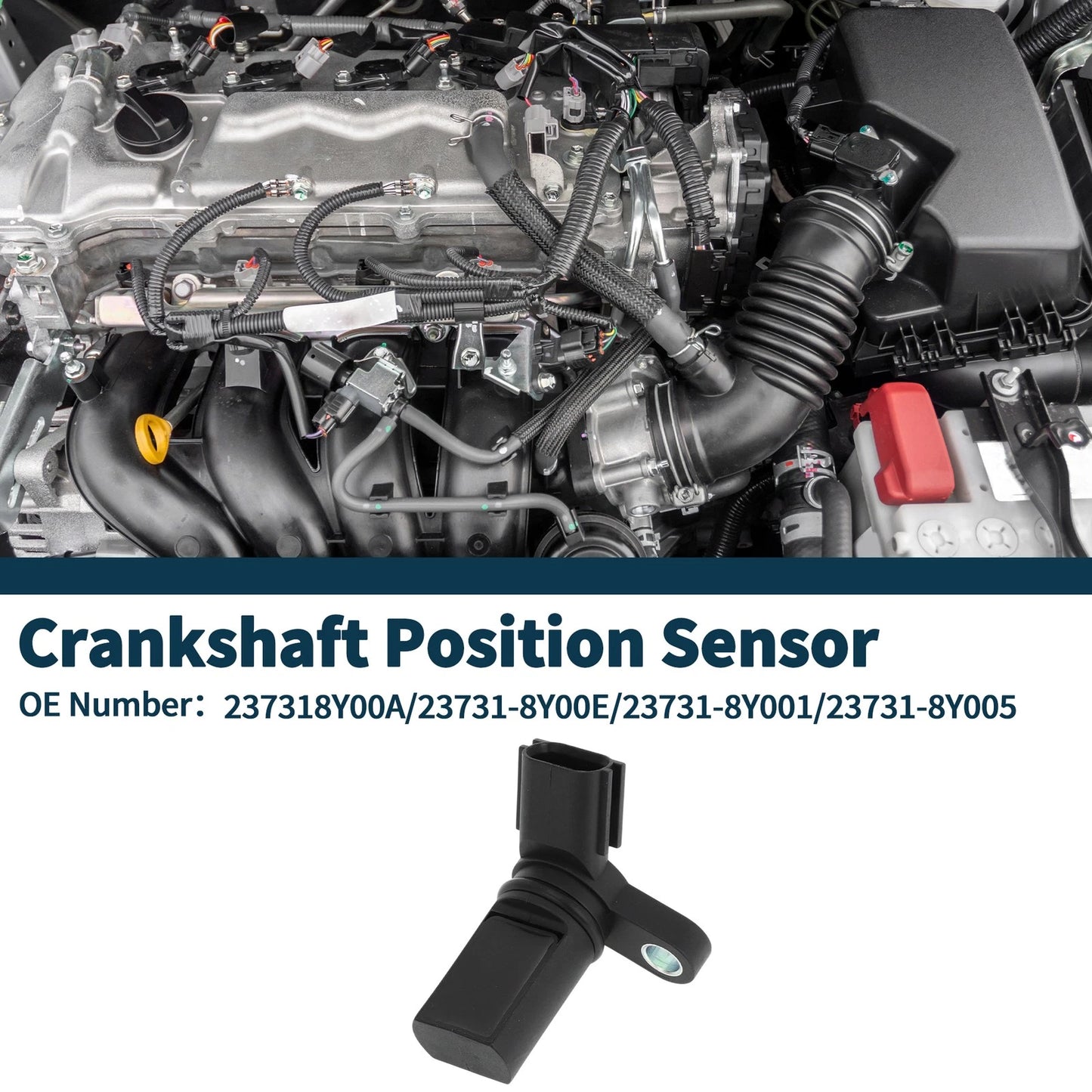 Crankshaft Position Sensor for Nissan Altima 3.5 (2002-2006) 1 Pc