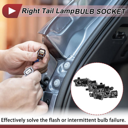 Right Tail Light Socket for Peugeot 307 (2007-2014)