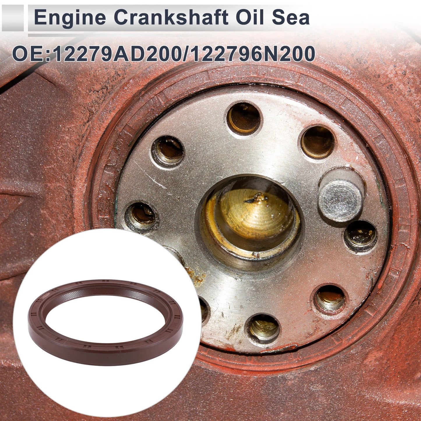 Rear Crankshaft Oil Seal for Nissan Pick Up (2002-2010)