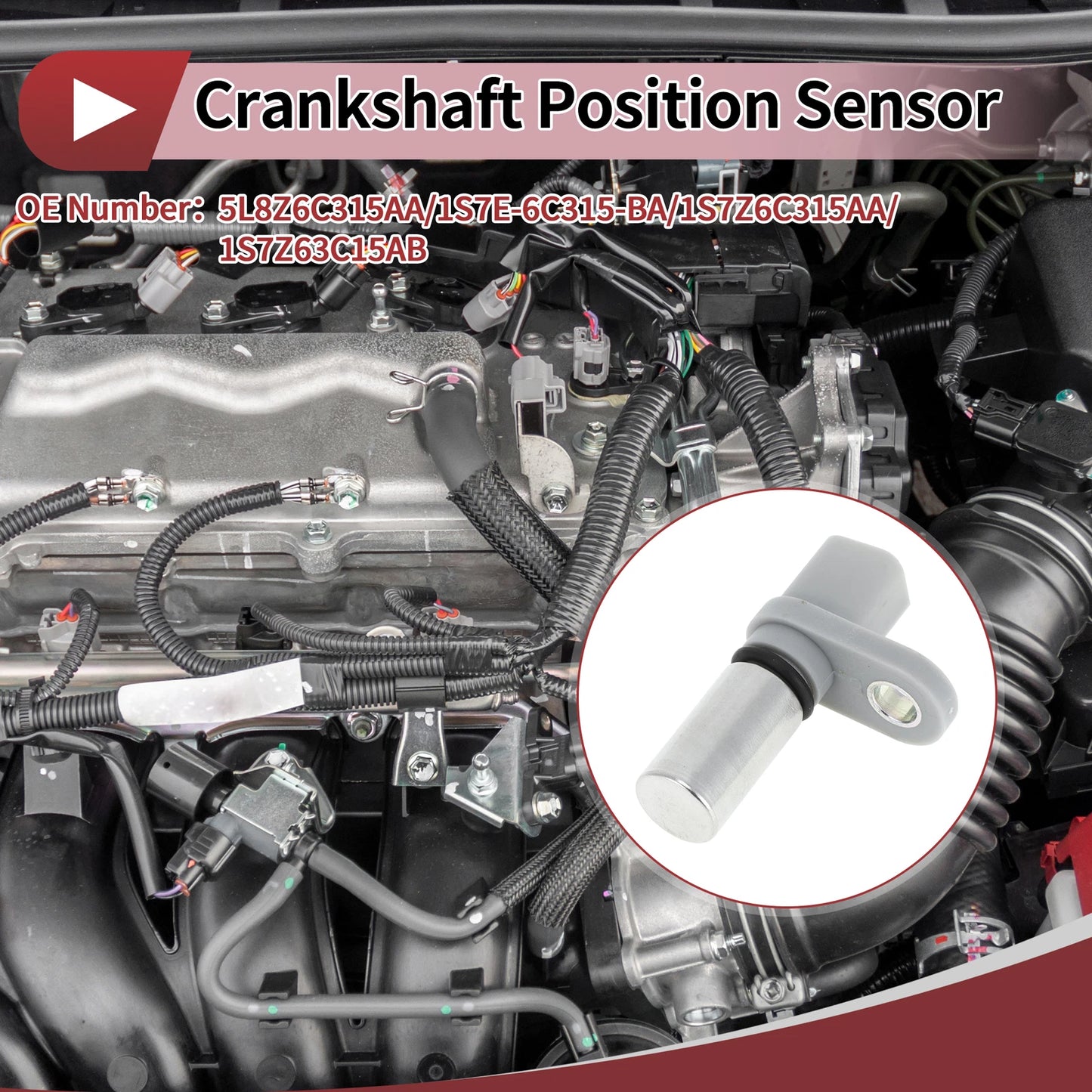 Crankshaft Position Sensor for Ford Escape 3.0 (2006-2012) 1 x Sensor