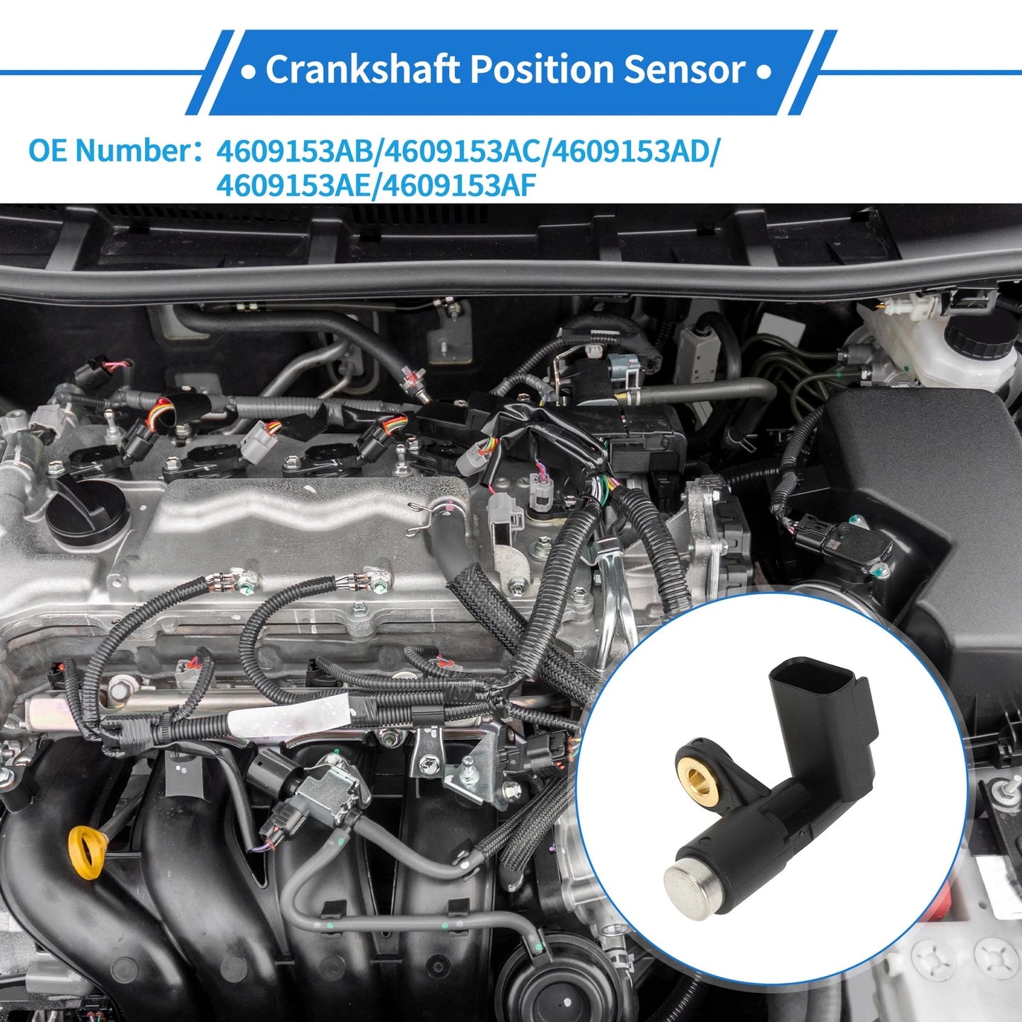 Crankshaft Position Sensor for Dodge Caravan 3.3 (2001-2003)