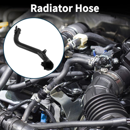 Radiator Hose for Nissan Cube Z12 1.5 dCi (2009-2014)