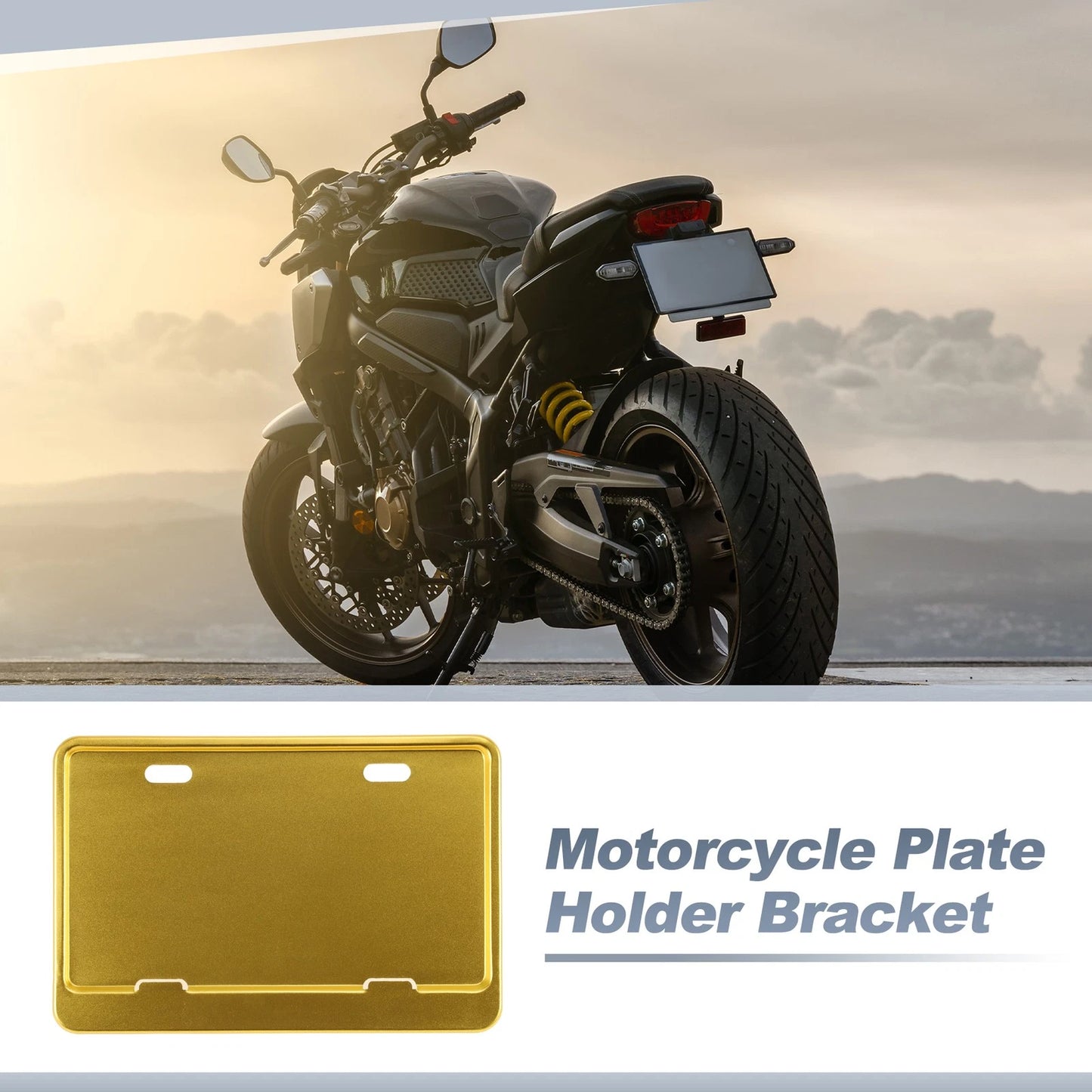 Registration Plate Holder Bracket 26x10mm Hole Gold Tone