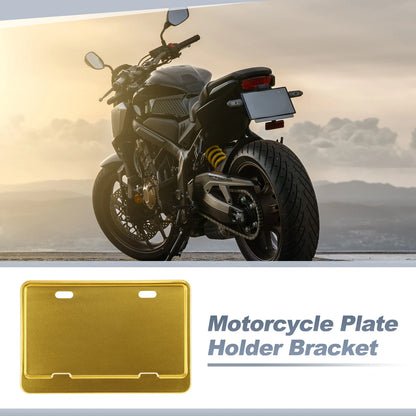 Registration Plate Holder Bracket 26x10mm Hole Gold Tone
