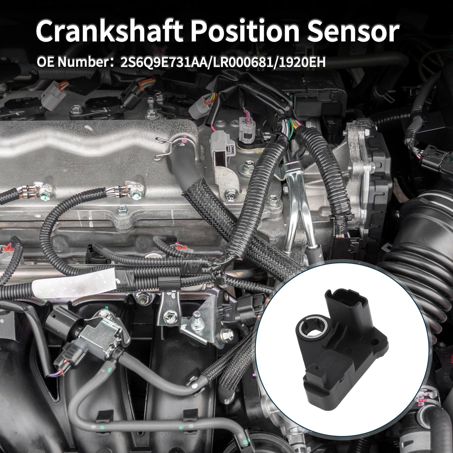 Crankshaft Position Sensor for Ford Fiesta 1.6 TDCi (2004-2008) 1 x Sensor