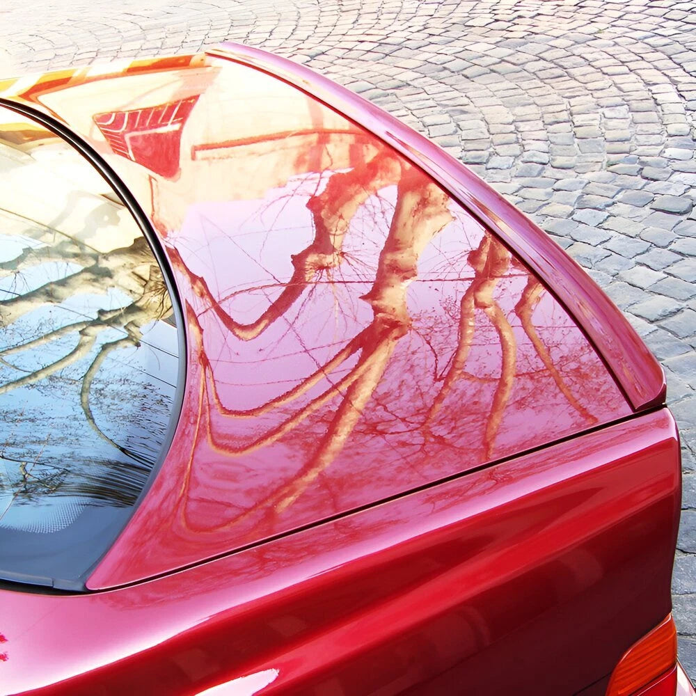 Black Boot Lip Spoiler for Buick Regal Sedan (2011-2017)