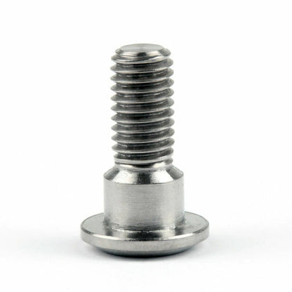 12 x Brake Disc Bolts M8 x 22mm Titanium TC4 for Suzuki GSXR Bandit (F2)